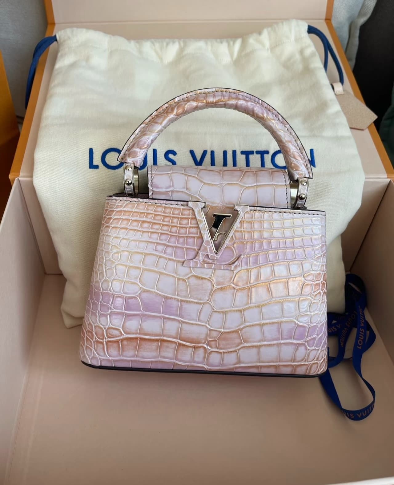 LOUIS VUITTON Iconic Collection